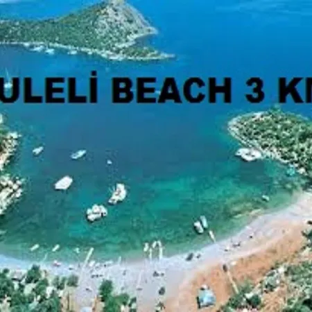 بيت شباب Ferah Monica's Place *