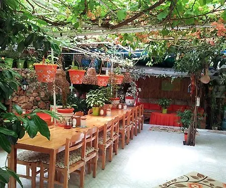 Ferah Monica's Place *