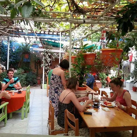 Ferah Monica's Place Vandrerhjem *