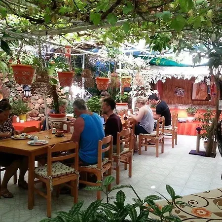 Ferah Monica's Place Vandrerhjem *