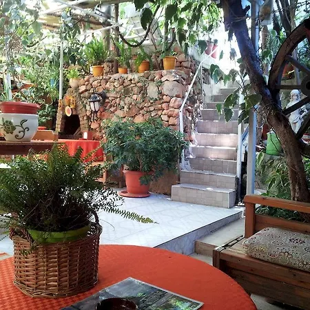 Ferah Monica's Place ホステル