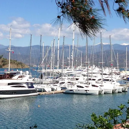 Ferah Monica's Place Hostel *